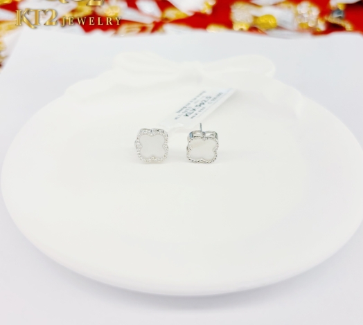 Bông Trắng Cỏ Xà Cừ Trắng