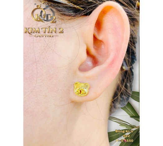 Bông Mặt Gấu Đích Đẩy 5 Phân 3