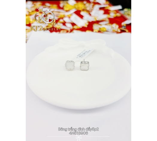 Bông Trắng Cỏ Xà Cừ Trắng